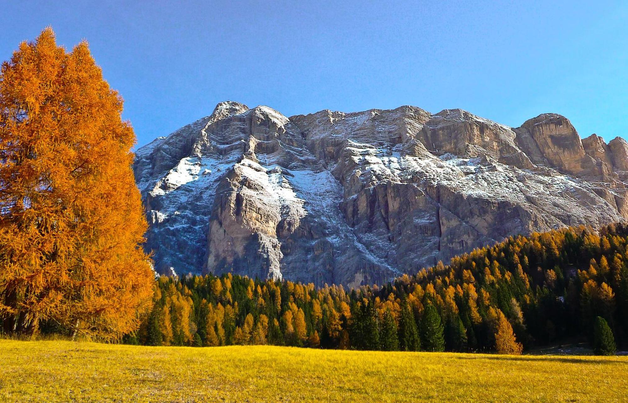 Apartment Ciasa Laoi San Cassiano  Eksteriør bilde